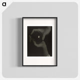 1-96_Alfred-Stieglitz_blk