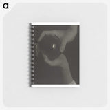 1-96_Alfred-Stieglitz_memo