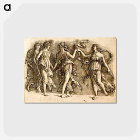 アートポストカード-Four Muses - アンドレア マンテーニャ Postcard.