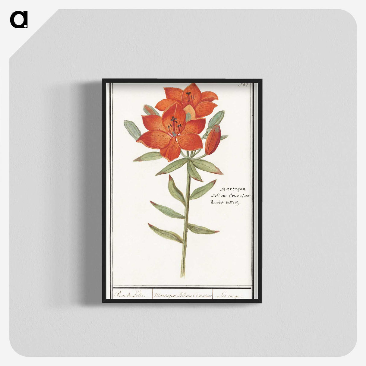 1-96_Anselmus-Boetius-de-Boodt_blk-crop