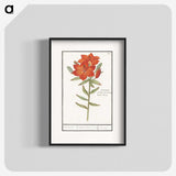 1-96_Anselmus-Boetius-de-Boodt_blk