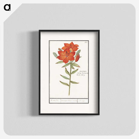 1-96_Anselmus-Boetius-de-Boodt_blk