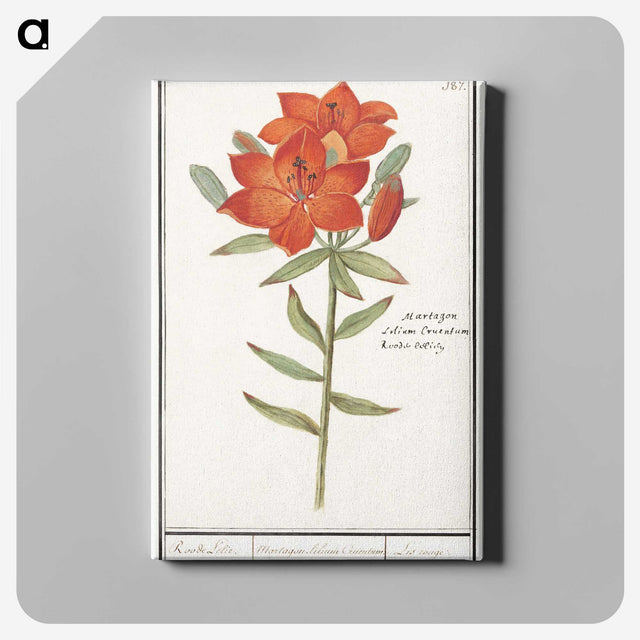 1-96_Anselmus-Boetius-de-Boodt_canvas