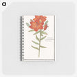 1-96_Anselmus-Boetius-de-Boodt_memo