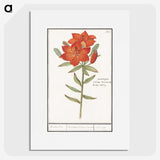1-96_Anselmus-Boetius-de-Boodt_picture