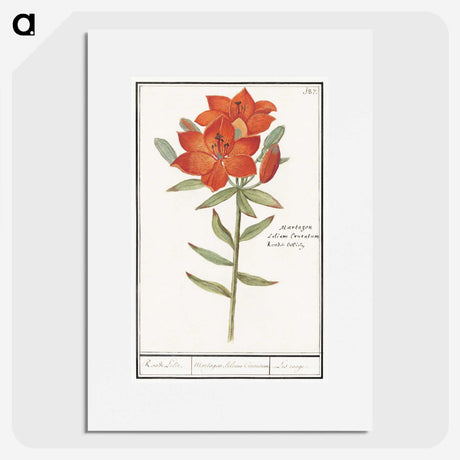 1-96_Anselmus-Boetius-de-Boodt_picture