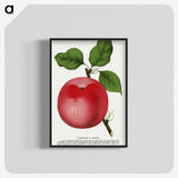 1-96_Botanical-Specimen-Plates_blk-crop