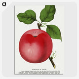 1-96_Botanical-Specimen-Plates_picture-crop