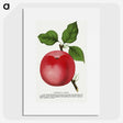 1-96_Botanical-Specimen-Plates_picture