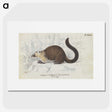 1-96_Charles-Hamilton-Smith_picture