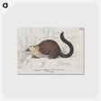 1-96_Charles-Hamilton-Smith_postcard