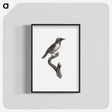 1-96_Des-Oiseaux-de-Paradis_blk-crop