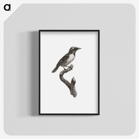 1-96_Des-Oiseaux-de-Paradis_blk-crop