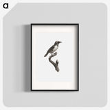 1-96_Des-Oiseaux-de-Paradis_blk