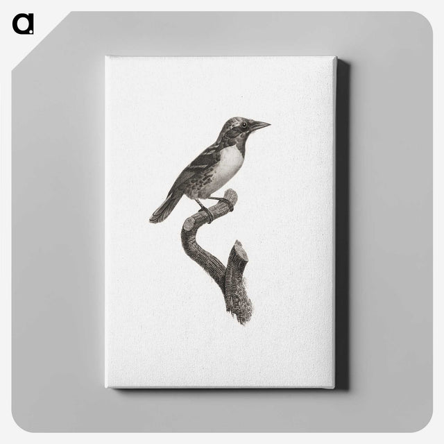1-96_Des-Oiseaux-de-Paradis_canvas