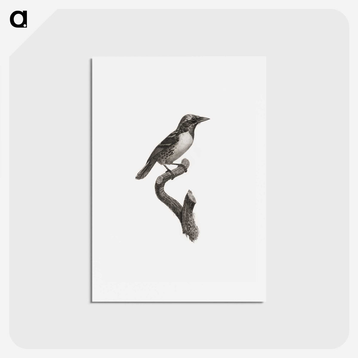 1-96_Des-Oiseaux-de-Paradis_hagaki