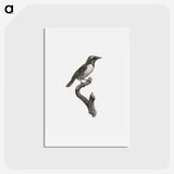 1-96_Des-Oiseaux-de-Paradis_hagaki