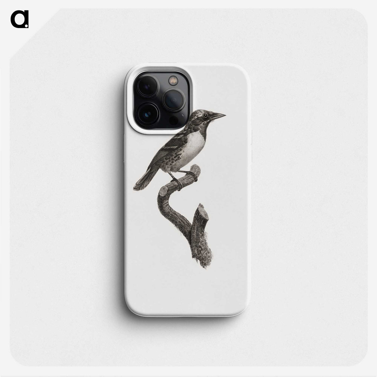 1-96_Des-Oiseaux-de-Paradis_phone