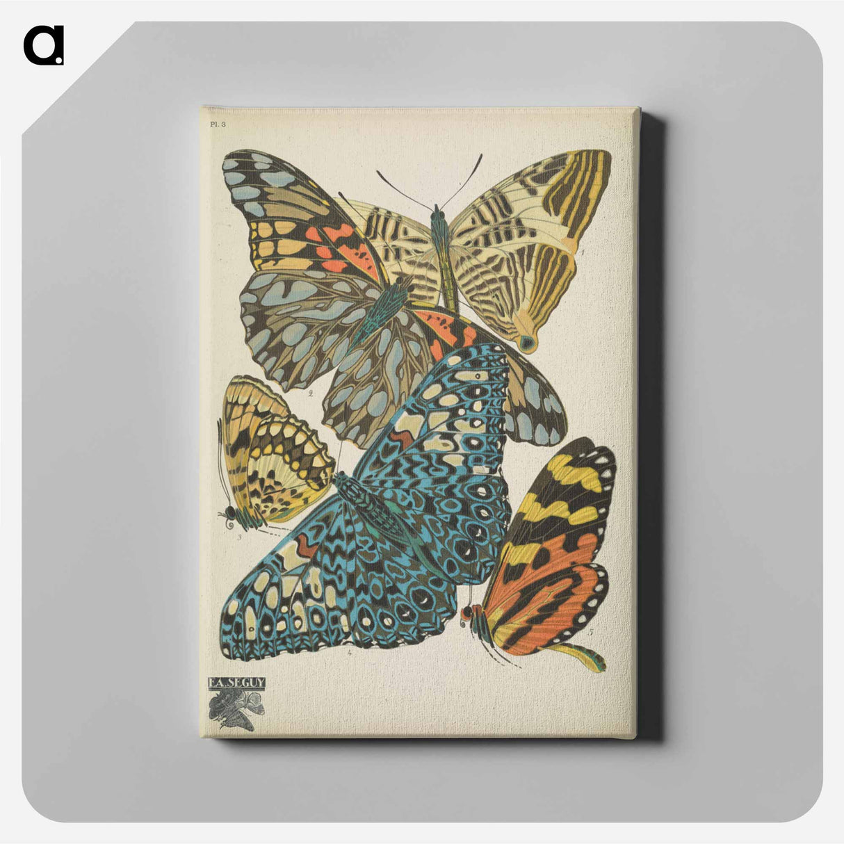 E.A. Séguy's vintage butterflies insect illustration - E.A.セギー Canvas.
