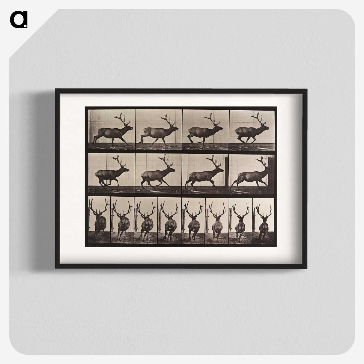 1-96_Eadweard-Muybridge_blk