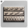 1-96_Eadweard-Muybridge_canvas
