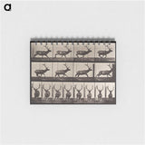 1-96_Eadweard-Muybridge_memo