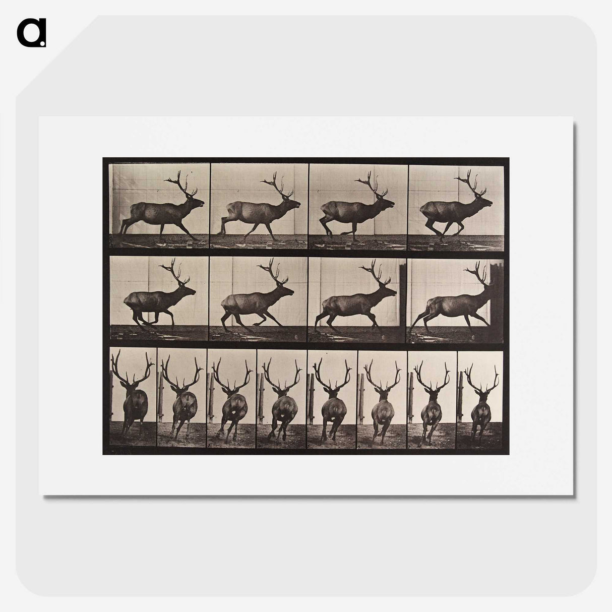 1-96_Eadweard-Muybridge_picture
