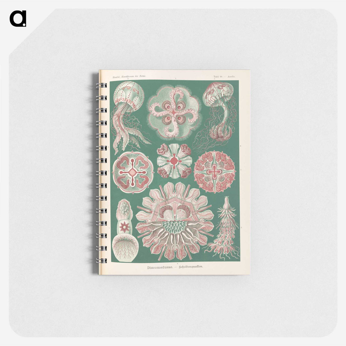 1-96_Ernst-Haeckel_memo