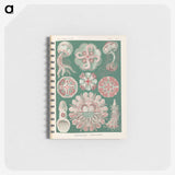 1-96_Ernst-Haeckel_memo