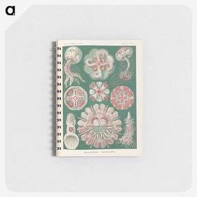 1-96_Ernst-Haeckel_memo
