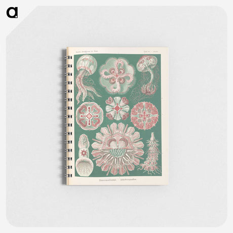 1-96_Ernst-Haeckel_memo