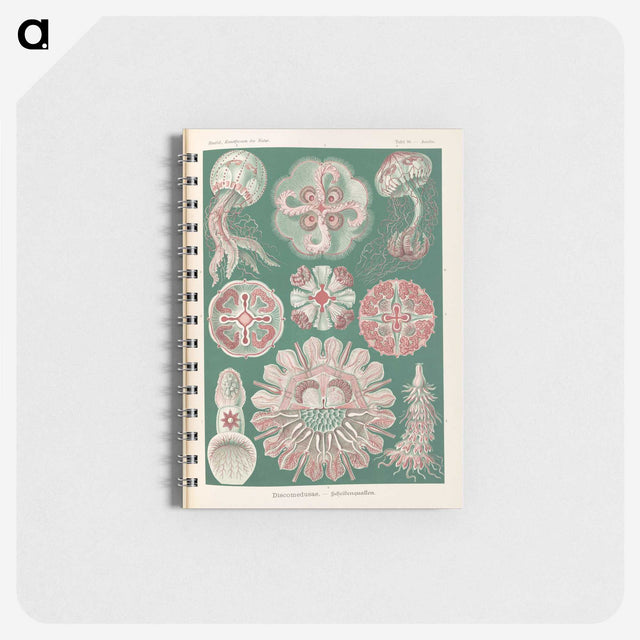 1-96_Ernst-Haeckel_memo