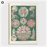 1-96_Ernst-Haeckel_picture-crop