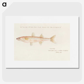 1-96_Frank-Edward-Clarke_picture