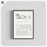 1-96_George-Barbier_blk-crop