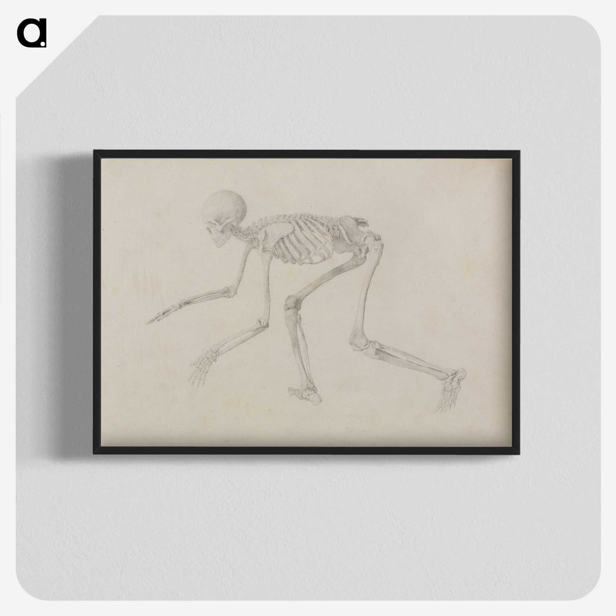 1-96_George-Stubbs_blk-crop