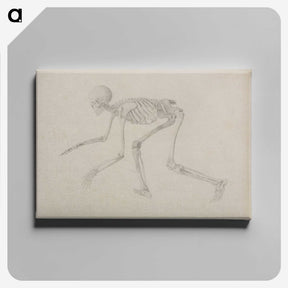 1-96_George-Stubbs_canvas