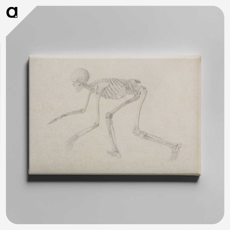1-96_George-Stubbs_canvas