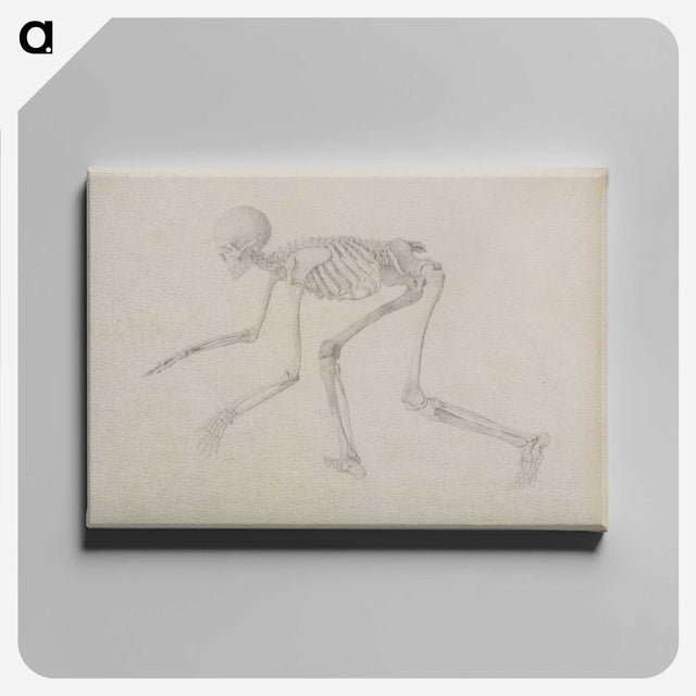1-96_George-Stubbs_canvas