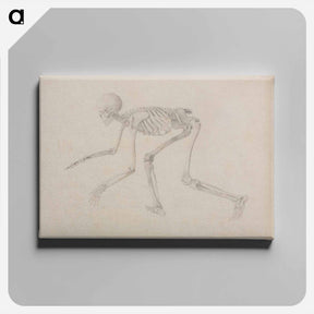 アートパネル-Crawling Skeleton
 - ジョージ スタッブス Canvas.