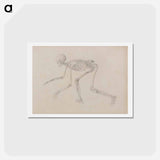 アートポストカード-Crawling Skeleton
 - ジョージ スタッブス Postcard.