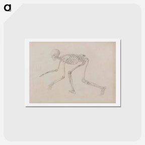 アートポストカード-Crawling Skeleton
 - ジョージ スタッブス Postcard.
