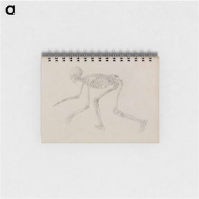 アートメモ帳-Crawling Skeleton
 - ジョージ スタッブス Memo.