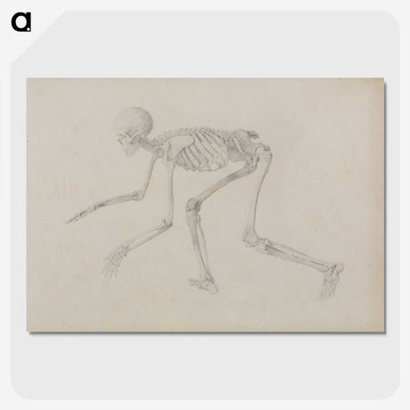 1-96_George-Stubbs_picture-crop