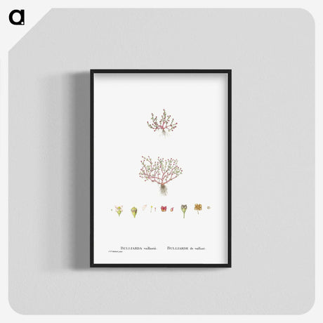 1-96_Histoire-des-Plantes-Grasses_blk-crop