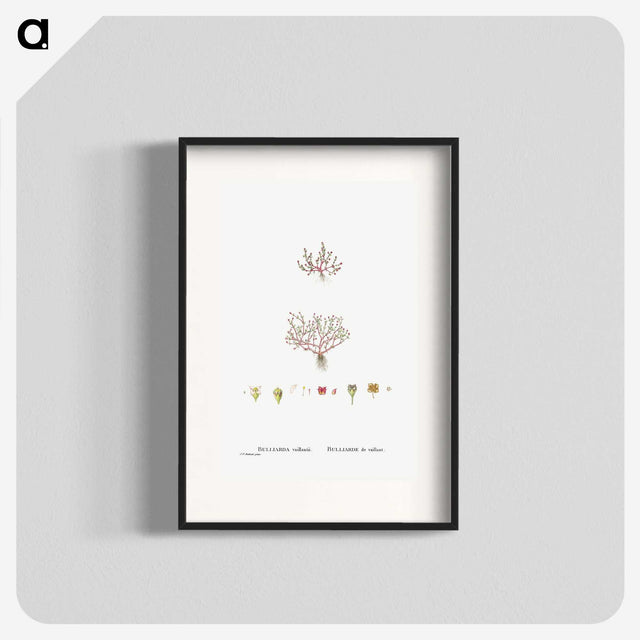 1-96_Histoire-des-Plantes-Grasses_blk