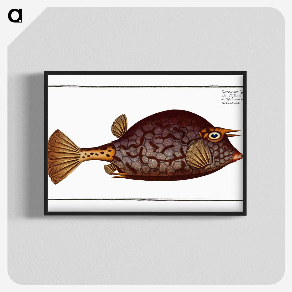 1-96_Ichtyologie-ou-Histoire-naturelle_blk-crop