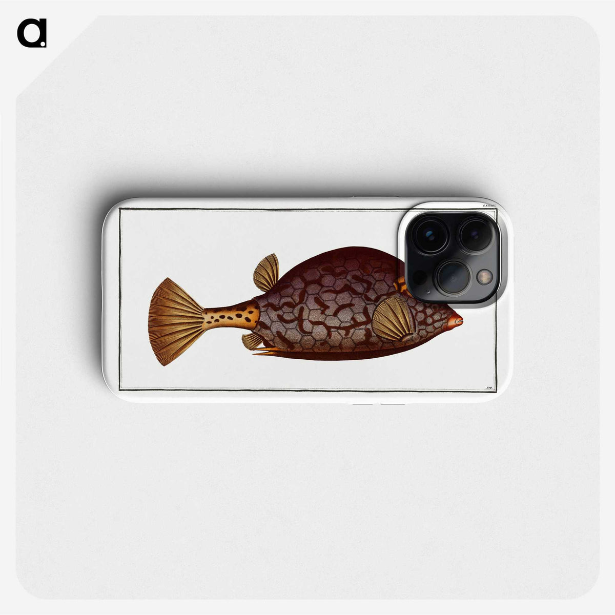 1-96_Ichtyologie-ou-Histoire-naturelle_phone