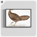 1-96_Indian-Zoology_blk-crop