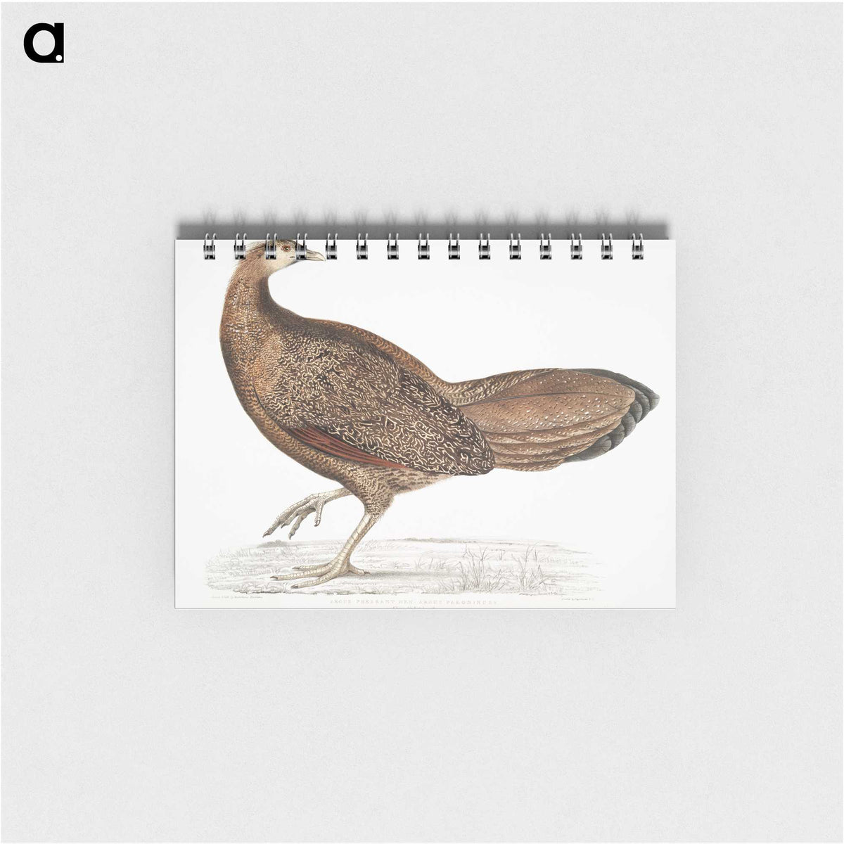 1-96_Indian-Zoology_memo